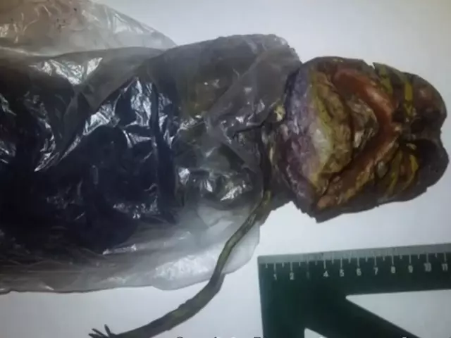 alien veggie in fridge alien veggie in fridge