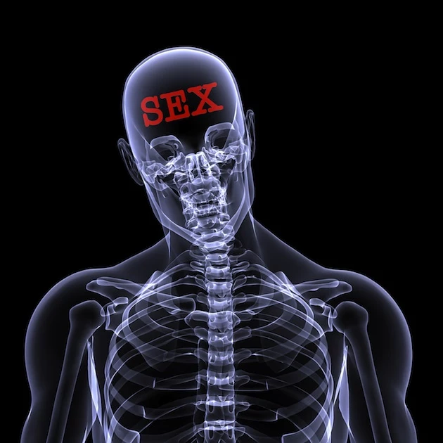 Brain Had Sex 47