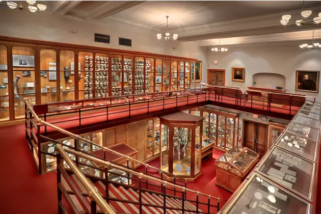 Mutter Museum Photos Mutter Museum Photos