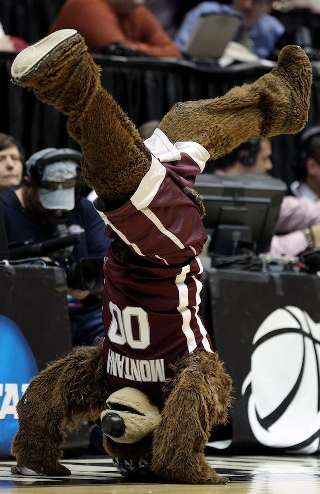 NCAA Montana Mascot NCAA Montana Mascot