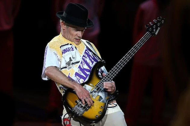 Flea bass Flea bass